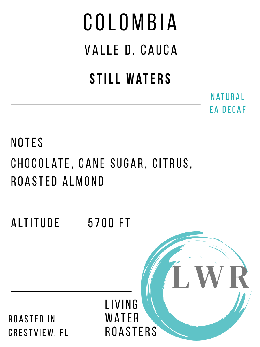 STILL WATERS (DECAF)