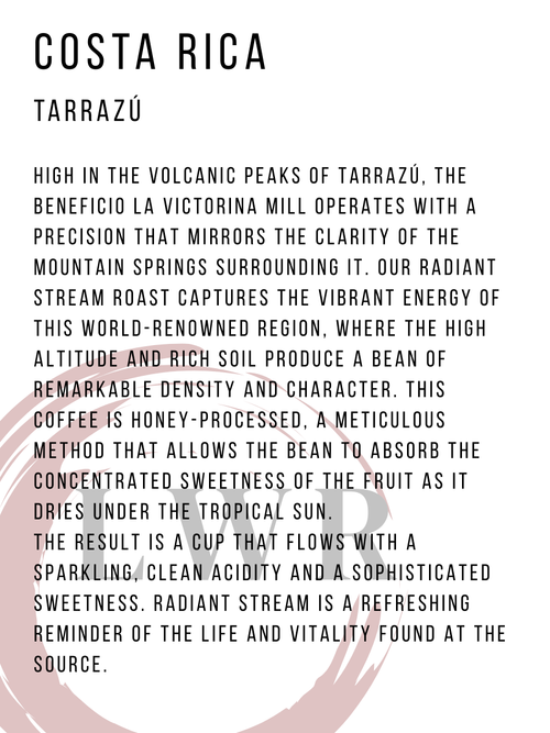 RADIANT STREAM