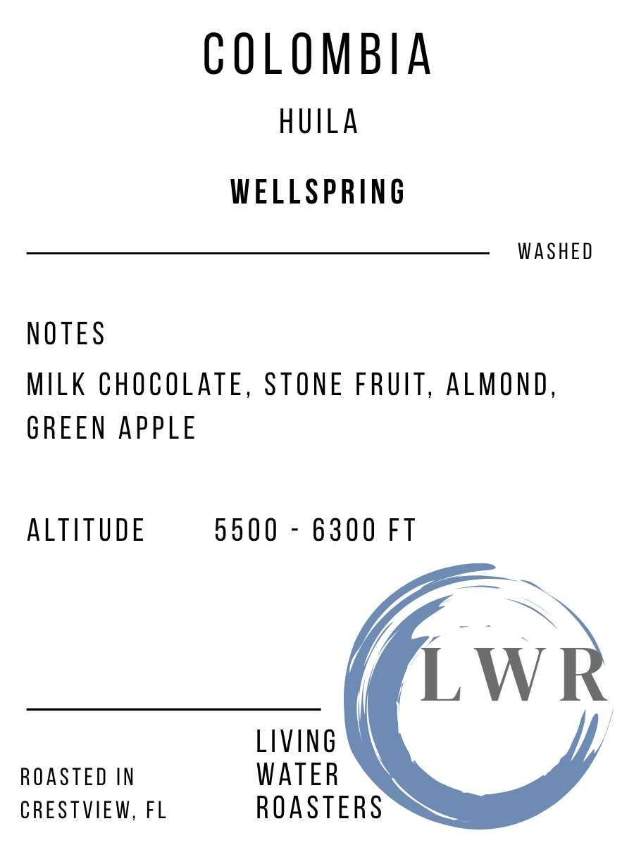 WELLSPRING