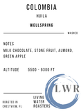 WELLSPRING