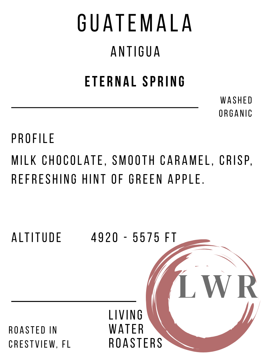 ETERNAL SPRING